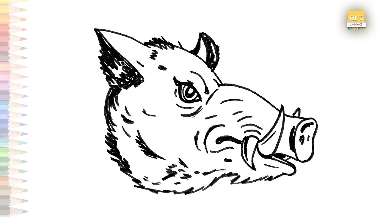 Wild Boar Face Drawing | How To Draw Wild Boar Face Step By Step | Face ...