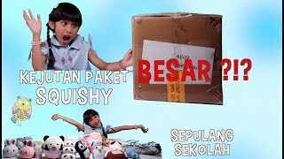 Kejutan Paket SQUISHY BESAR