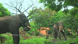 Thrissur district Tourism Projects