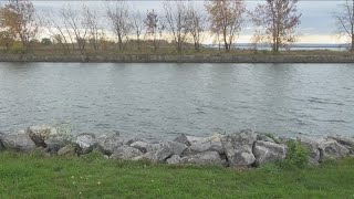 Buffalo Outer Harbor Wetlands Project
