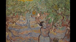 Art This Week-At the Dallas Museum of Art-Van Gogh and the Olive Groves