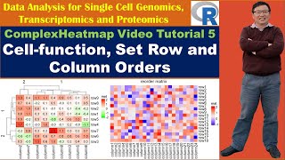 ComplexHeatmap Video Tutorial 5: Cell-function, Set Row and Column Orders
