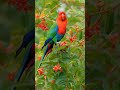 birds #nature #birdsounds #wildlife #cute #love #trendingshorts #viralvideo #coloring birds#ai art