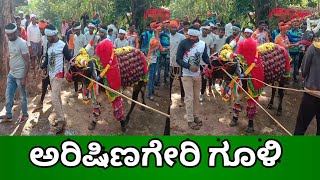 arishinageri gooli top action bull hori  habba yalavalli