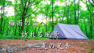 ソロキャンプ【炎幕パップテント】梅雨の森へ訪れる夏の足音と風景　LL Bean バックパック