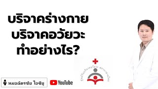 บริจาคอวัยวะ บริจาคร่างกาย ทำอย่างไร ขั้นตอนคืออะไร #บริจาคร่างกาย #บริจาคอวัยวะ #donation