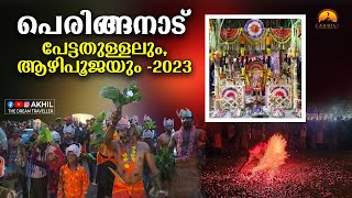 പെരിങ്ങനാട് പേട്ടതുള്ളലും ആഴി പൂജയും -2023 ||ചേന്നംപള്ളിൽ ശ്രീഭദ്രാ- ധർമ്മശാസ്താ ക്ഷേത്രം