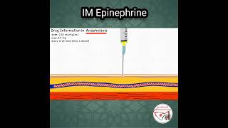 ADRENALINE (Epinephrine) DOSE in ANAPHYLAXIS #pediatrics #medicine #epinephrine