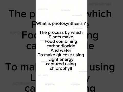 Quick Guide: Understanding Photosynthesis