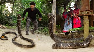 दुनिया का सबसे खतरनाक सांप किंग कोबरा, आखिरकार मुरलीवाले हौसला ने कैसे रेस्क्यू किया!😱 King Cobra