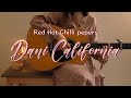 Red Hot Chili Peppers - Dani California | acoustic cover