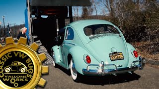 Classic VW BuGs 1962 Beetle \