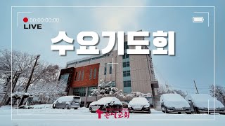 1월 22일 수요예배 / 김자연 담임목사