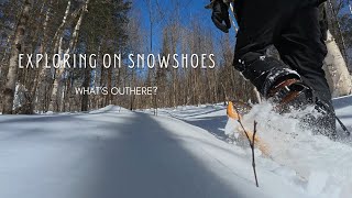 Winter Forest Hiking On Snowshoes | Getting Outside For Fun And Exercise