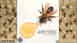Astrix - High on Mel