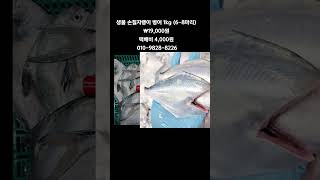 [똑손팔도푸드]생물 손질 자랭이 횟감용  병어 1kg(6-8미)