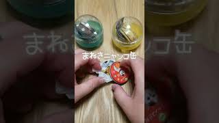 【ガチャガチャ】超リアル！缶入りせんべいマスコットやってみた！【カプセルトイ】