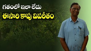 E109 | చనిపోతున్న 12 ఏళ్ల బత్తాయి చెట్లు బతికాయి | Nematodes Cure in Sweet lime |@GramaBazaar