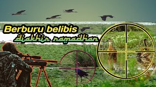 Berburu Belibis Terbaru‼️Berkah diakhir Ramadhan ⁉️ lahan persawahan