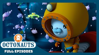 @Octonauts - 🌊 The Sea Pigs 🐷 | Season 3 | Full Episodes | Cartoons for Kids