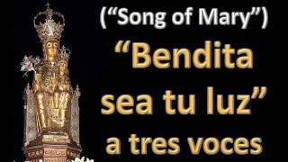 BENDITA SEA TU LUZ – Canción a la Virgen a tres voces