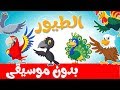 أنشودة الطيور بدون موسيقى قناة أسرتنا