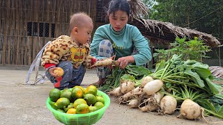 Harvesting Tangerines and Radishes for Sale: The Life of Ly Tieu Ca