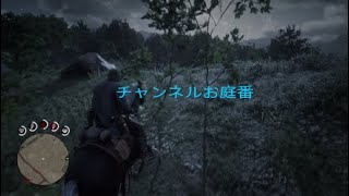 RDR2、列車強盗やってみた。