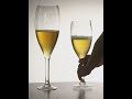 3 liter beer wine glass 🤯🍺 link 🔗 in description