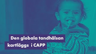 Den globala tandhälsan kartläggs i CAPP