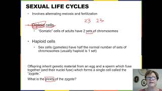 BIOL 1407 Chapter 11 Part 1 Recorded Lecture