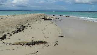 אי קטן ליד בוקה דל טורו, פנמה  A small island near Boca del Toro, Panama