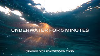 5 MINUTES UNDERWATER (RELAXATION / BACKGROUND VIDEO)
