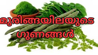 മുരിങ്ങയിലയുടെ ഗുണങ്ങൾ/ Health Benefits Muringa leafs/Drumsticks