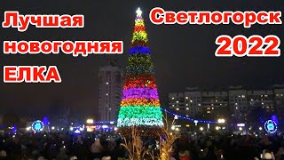 Лучшая Новогодняя Елка Светлогорск 2022 | В Светлогорске зажглась главная Новогодняя Ёлка города!