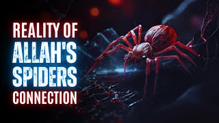 The Terrifying Reality of Allah's Spiders Connection