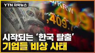 [자막뉴스] 자본 유출 '일촉즉발'...쓰나미 쇼크에 韓 기업들 '비상' / YTN