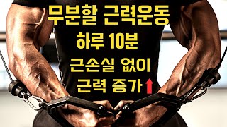 무분할 근력 운동 일주일 딱 30분, 근손실 방지 \u0026 근력 증가