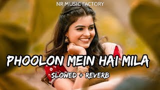 Phoolon Mein Hai Mila (Slowed + Reverb) | Javed Ali| HanuMan | NR Music Factory