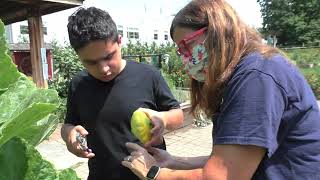 The Frelinghuysen Arboretum Special Needs Horticultural Therapy Garden