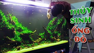 HỒ THỦY SINH chạy LỌC TRÀN DƯỚI với ỐNG ĐỎ đầu tiên tại Việt Nam | Planted tank red tube filtration