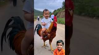 CoCo Murga Kukdu Ku 🐓 Baby Funny Video #baby #love #kuku shorts 🥰🥰