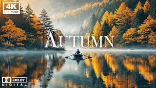 4K Autumn Forest - Relaxing Nature Video & River with Peaceful Piano Music