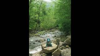 Totodile Dancing on the rocks in the river #shorts #pokemon #totodile