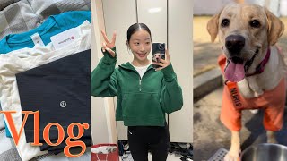 Vlog. 뜽자매 브이로그- 파주 출판단지, 심학산도토리국수, 룰루레몬 언박싱, 판교 코그니센티 브런치, 판교 현대백화점, 누리 천재견 래브라도 리트리버  일상 먹방 패션 브이로그