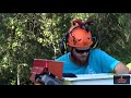 Cajun Tree Cutters 83' HD Arbor Pro Spider Lift