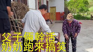 老譚訂地板瓷磚，幹活時金句奶奶又跑來搞笑，太可愛了【小小譚】