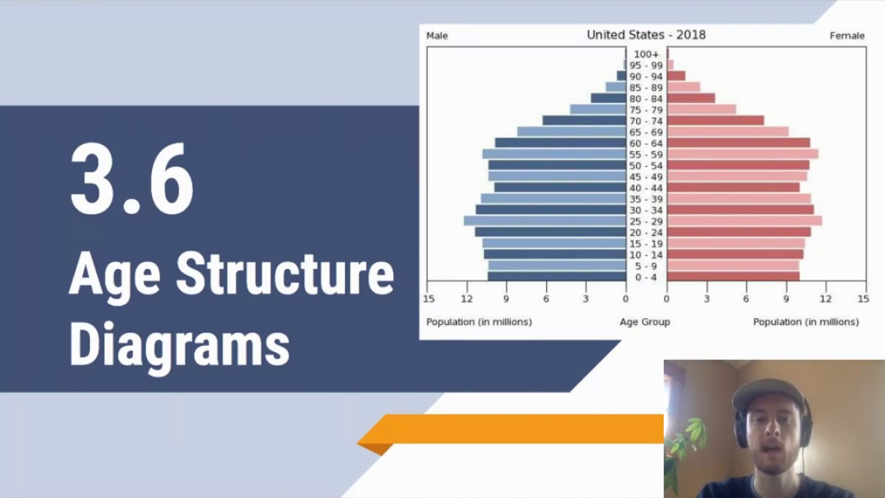 How To Read Age Structure Diagrams