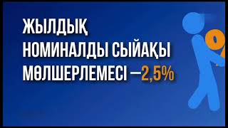 Жастарға берілетін шағын несие