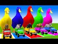 5 Giant Duck Cartoon,Cow,Mammoth,Dog,T-Rex,Lion,Tiger Paint Wild Animals Crossing Fountain Animation